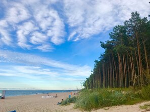 Una playa con cielo despejado, orilla de arena y una hilera de árboles altos.