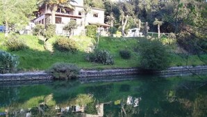 Unclassified image, 2 of 20, button - 'Villa Paradisino by Interhome (Ansedonia)