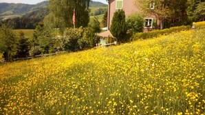 Uklassifisert bilde, 5 av 20, knapp