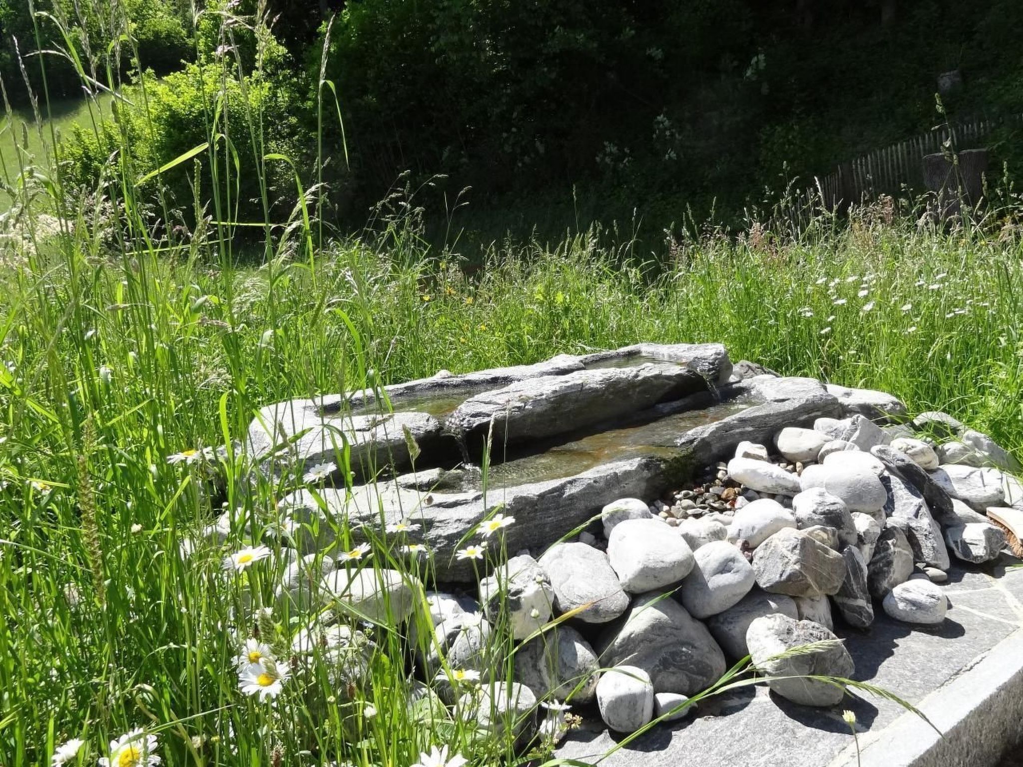 المنطقة المحيطة بالمنشأة