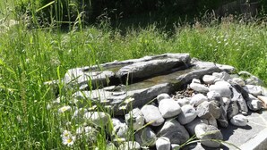 Un entorno natural al aire libre con una pequeña fuente de agua rodeada de rocas y césped.