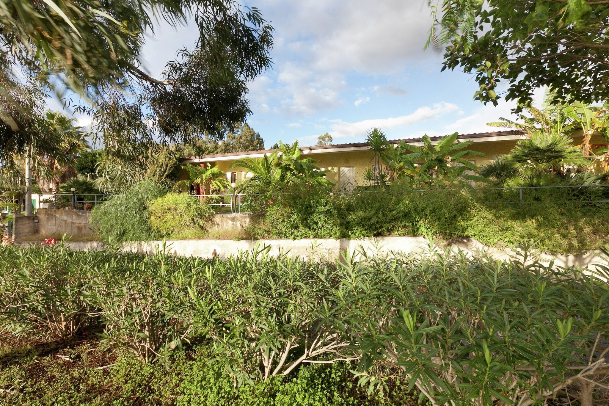 Un quartiere residenziale con una casa, vegetazione lussureggiante e un vialetto in cemento.