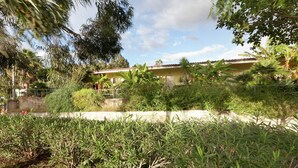 Zona residencial con una casa, abundante vegetación y un sendero de hormigón.