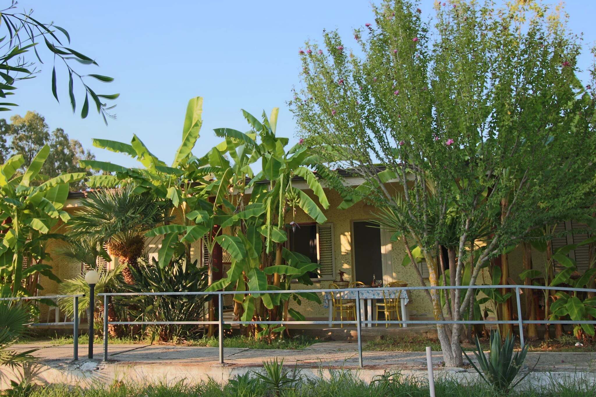 Un edificio con facciata gialla, circondato da vegetazione lussureggiante tra cui palme da cocco e un albero in fiore.