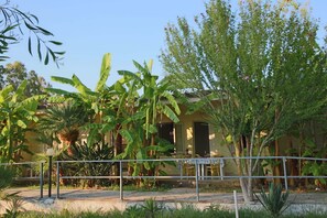 Exterior - Mediterranean Holiday Home for 4 (Ricadi)