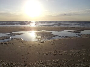 Beach - BlueSky by Interhome (Noordwijkerhout)