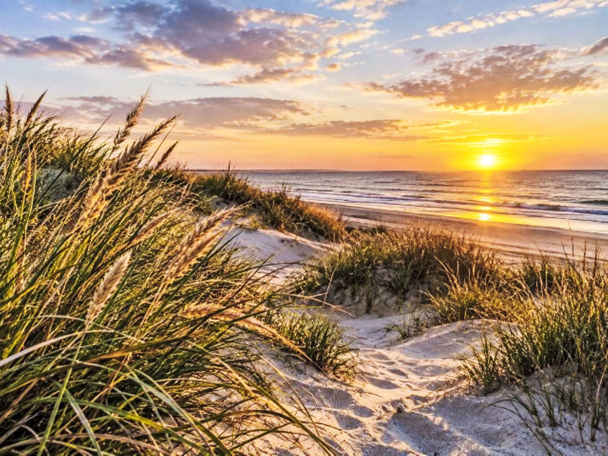 Une plage de sable avec de l’herbe qui s’étend jusqu’à l’océan, et un coucher de soleil en arrière-plan.