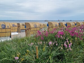 A row of wicker beach huts with a view of the sea and a grassy area with pink flowers. - Appartement mit Garten, Grill und Terrasse by Interhome (Kellenhusen)