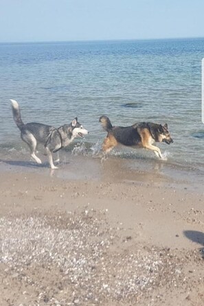 Strand