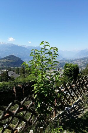 Property grounds - Chalet Paprika by Interhome (Crans-Montana)