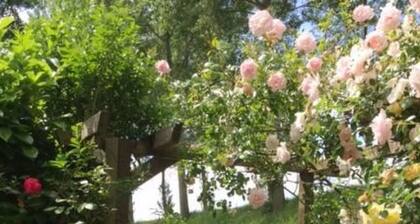 65 Quadratmeter in Stavenisse by Interhome