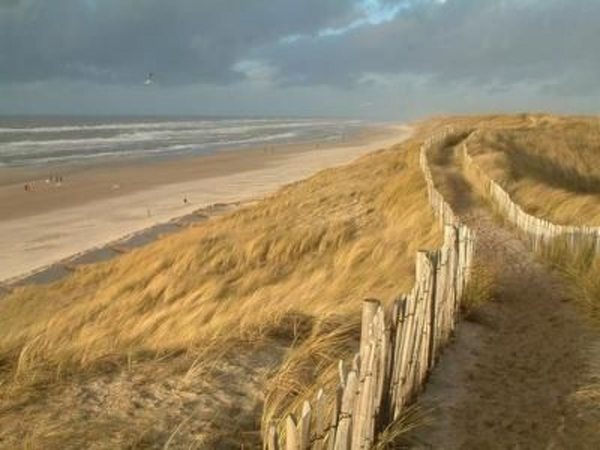 Strand