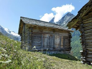 Exterior - Mayen an Stein by Interhome (La Forclaz VS)