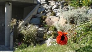 Un giardino con un muro in pietra, un fiore rosso e un sentiero.