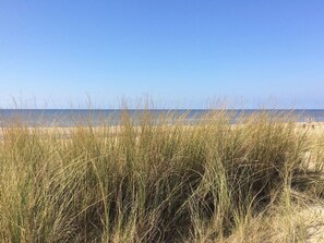 Beach - Bellavista by Interhome (Noordwijk)