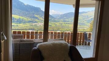 Fernseher, DVD-Player