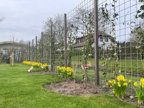 Property grounds - MarBriliante by Interhome (Noordwijk)