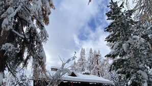 A wooden cabin with a snow-covered roof, surrounded by snow-laden trees, indicating a winter setting. - Chesa Bindschedler by Interhome (St. Moritz)