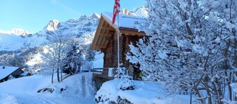 Alpen Vista by Interhome