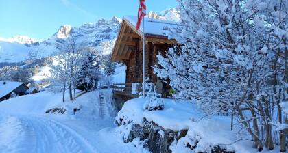 Alpen Vista by Interhome