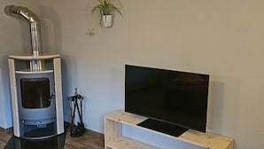 Ein Wohnzimmer mit Holzboden, einem Fernsehgerät auf einem Holzständer, einem Kamin und einem Blumentopf an der Wand.