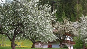 Una casa con fachada blanca y tejado rojo, rodeada de árboles en flor y un campo cubierto de hierba.