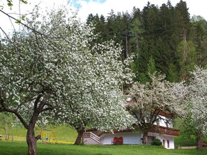 Esterni