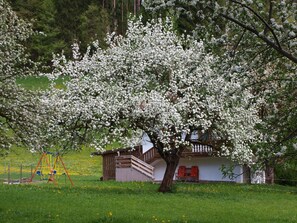 Area bambini