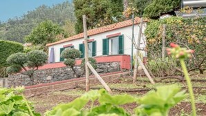 Unclassified image, 2 of 26, button - Historische Quinta Vista Mar in Arco T3 by Interhome (Arco da Calheta)