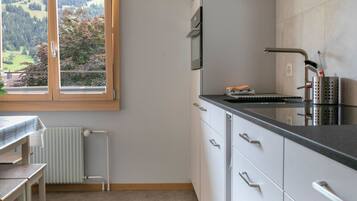 Kühlschrank, Ofen, Geschirrspüler, Kochgeschirr/Geschirr/Besteck