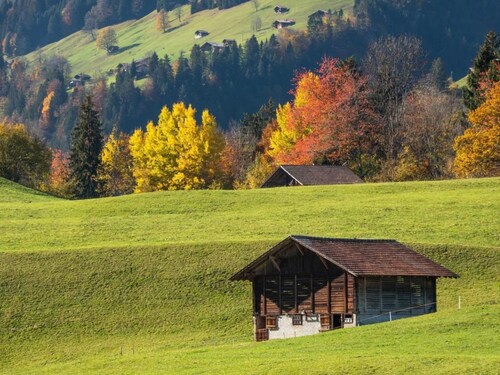 Gehrihornblick by Interhome