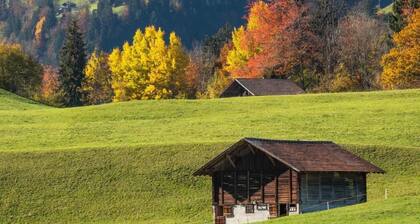 Gehrihornblick by Interhome