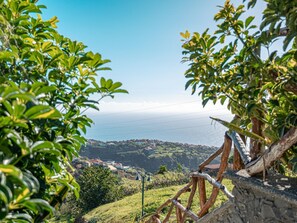 Property grounds - Villa Pitaias de Baixo by Interhome (Arco da Calheta)