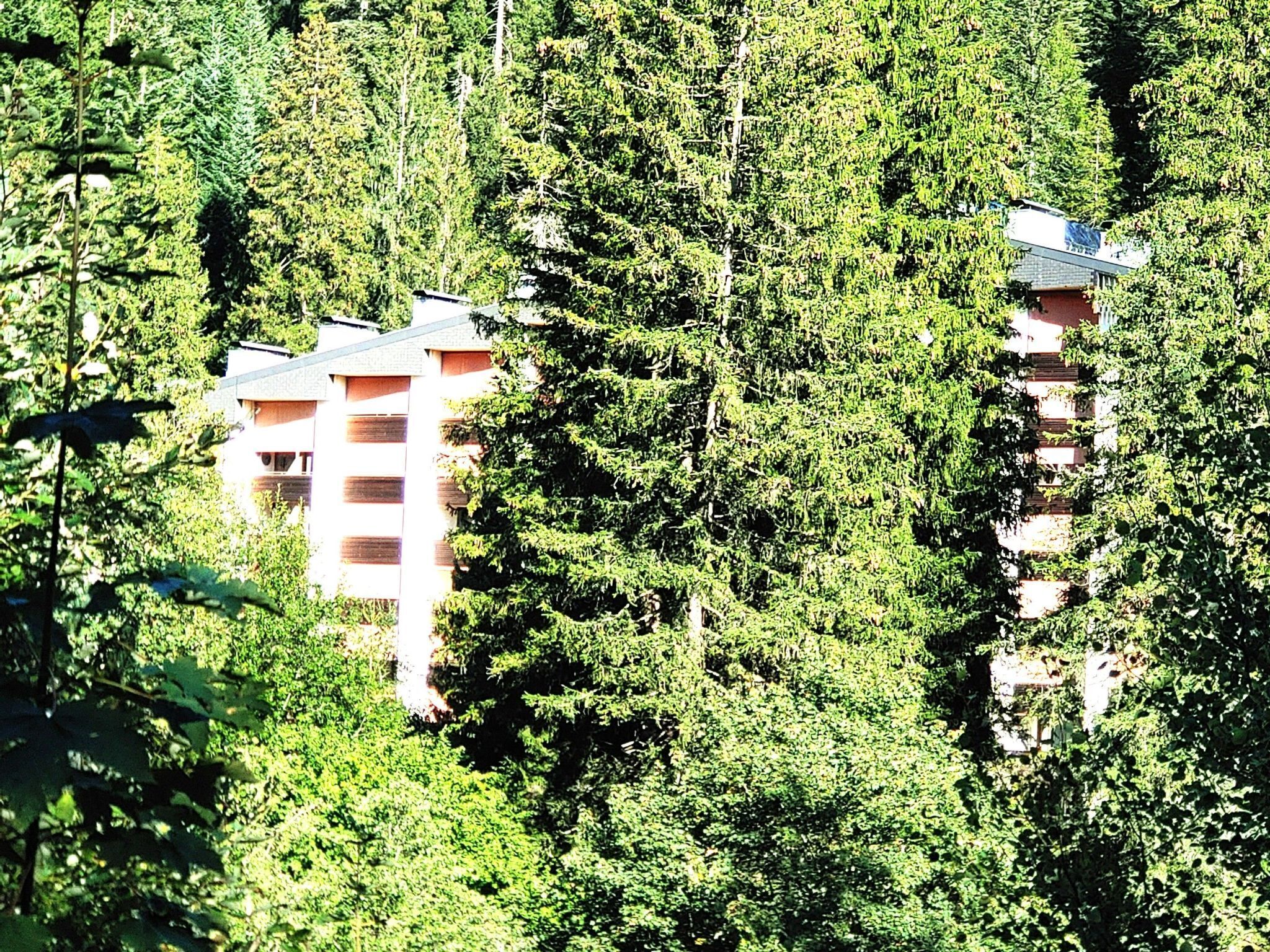 A multi-story building surrounded by dense forest.