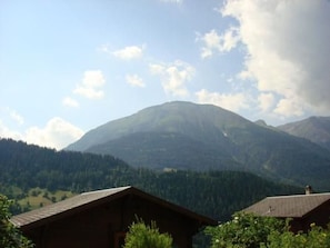 Exterior - Chalet Bärli by Interhome (Fiesch)