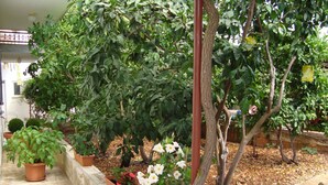 Un jardin avec des plantes en pot et un mur de pierre.