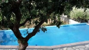 Una piscina con bordo in pietra, circondata da alberi.