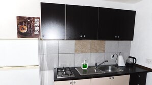 A compact kitchen with black cabinets, a stainless steel sink, a gas stove, and a kettle. - Apartman Slavica by Interhome (Karin)