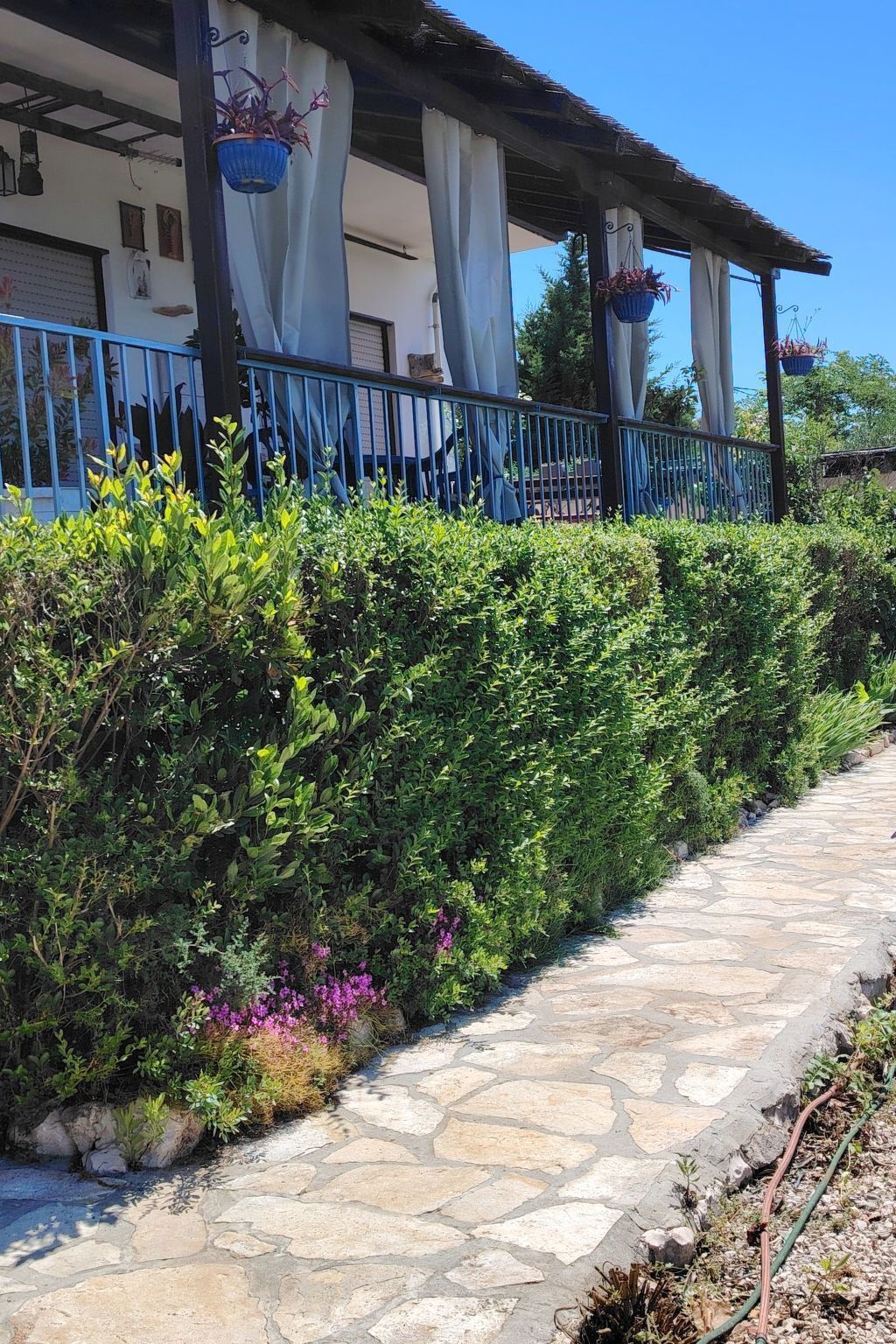 A stone pathway leading to a building with a covered porch, surrounded by lush greenery and flowering plants.
