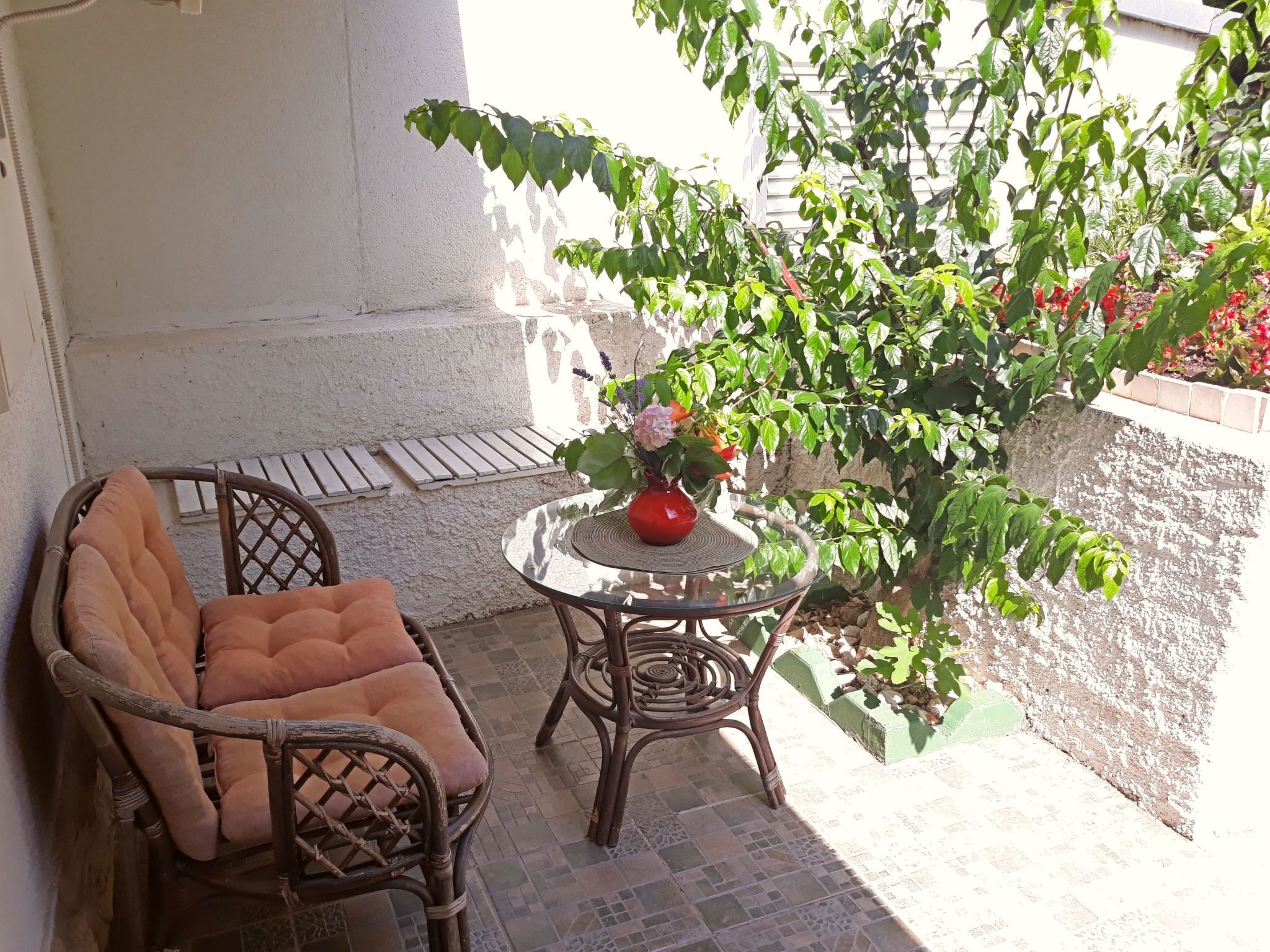 A wicker chair with a cushion, a small round table with a red vase, and a potted plant with green leaves and red flowers.