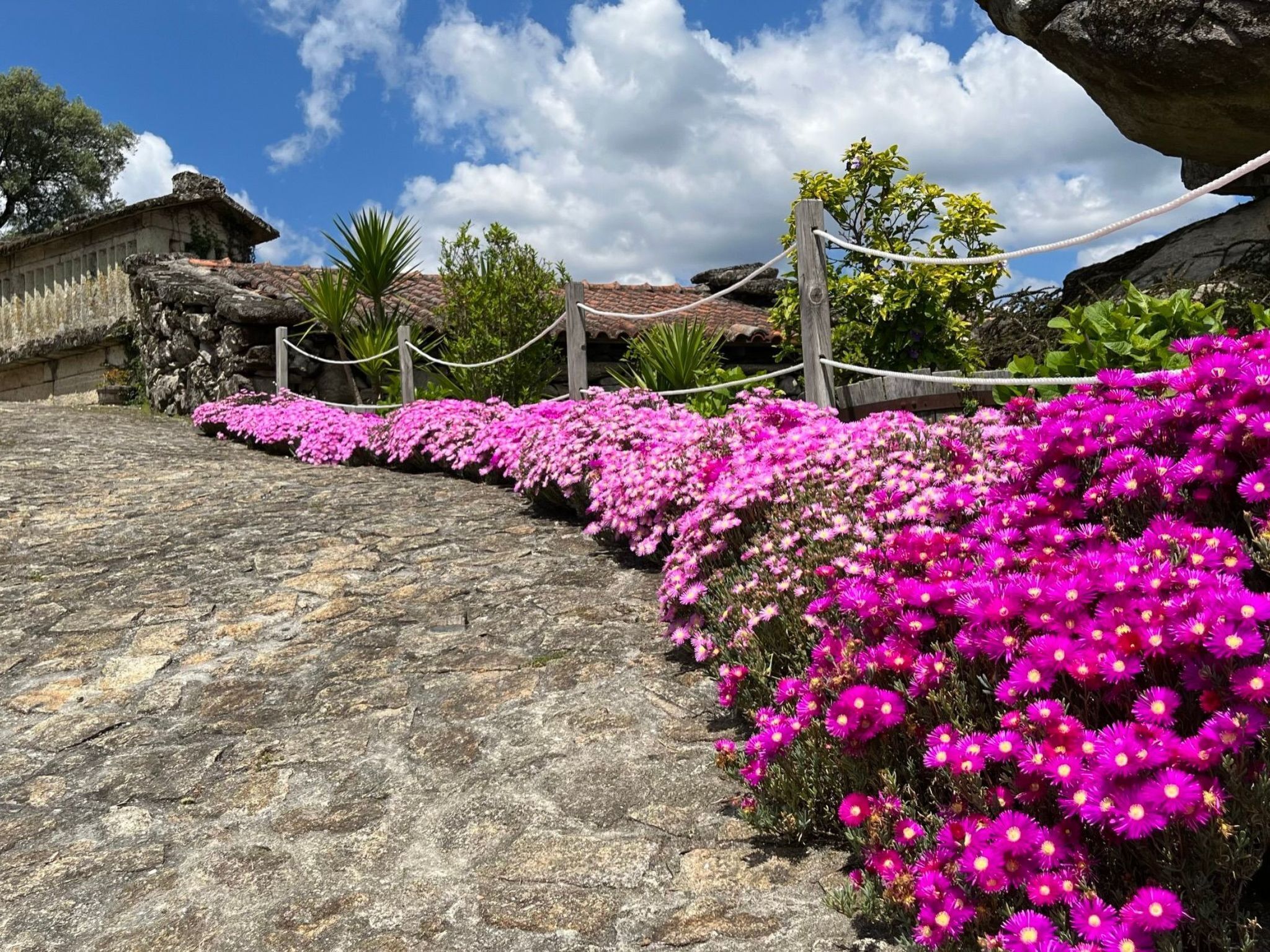 Terrein van de accommodatie