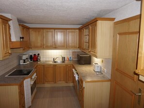 Fridge, microwave, oven, dishwasher - Felberkircherl by Interhome (Mittersill)