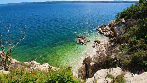 A coastal landscape with clear waters, rocky shoreline, and greenery. - Wohnung mit schöner Terrasse by Interhome (Crikvenica/Dramalj)