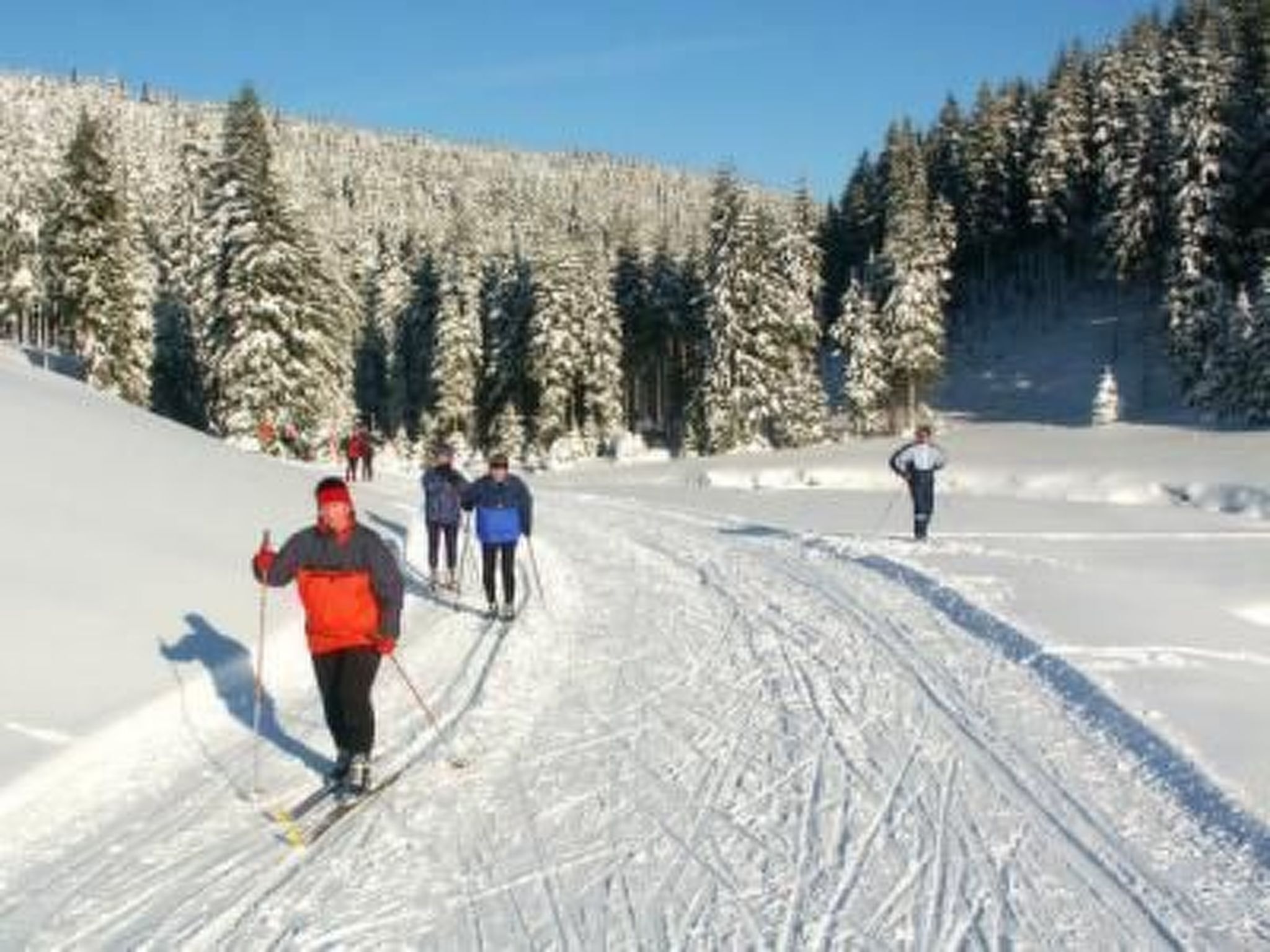 Snø- og skisport