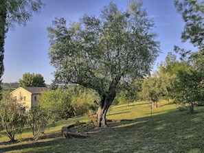 House - Haus der Musik 270m Veranda, Garten und Pool by Interhome (Ostra)
