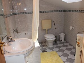 Une salle de bain avec un lavabo, des toilettes et une douche.