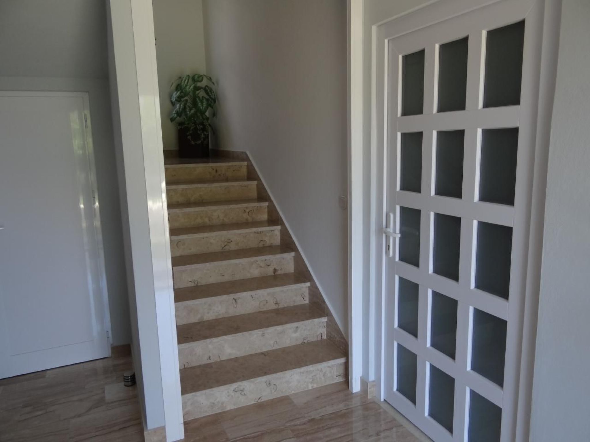 Una escalera que lleva a una puerta con paneles de vidrio esmerilado.