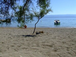 Beach - mit Privatpool neben dem Strand by Interhome (Omiš)