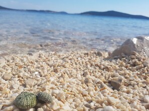 Beach - mit Blick auf das Wasser by Interhome (Marina)