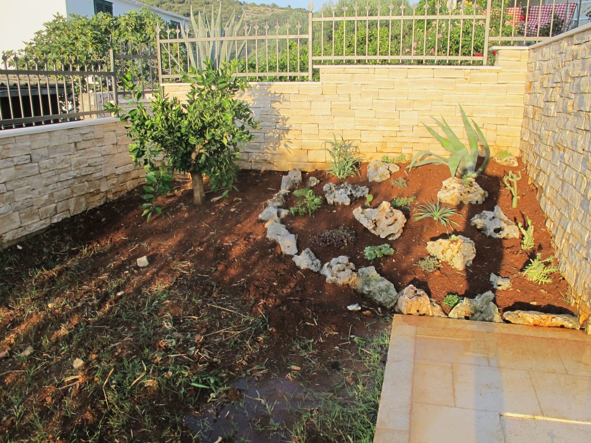 Un jardin avec un petit arbre, diverses plantes et un mur de pierre.